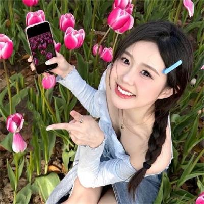 仲夏方程式